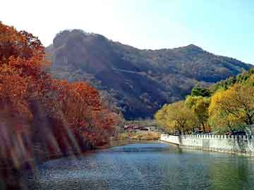 新澳门二四六天天开奖，大家乐彩票机